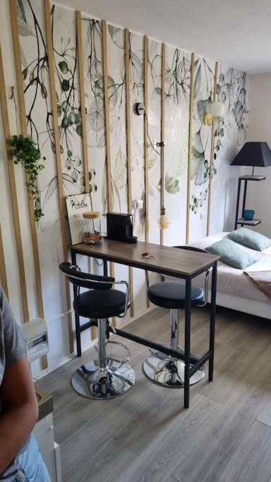 Hsh France Location Disney Land Paris - Suite Nicolas - Appartement De Charme Биси Сен Жорж Екстериор снимка