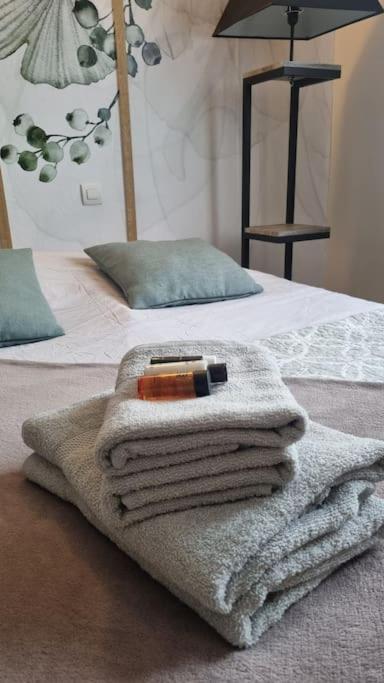 Hsh France Location Disney Land Paris - Suite Nicolas - Appartement De Charme Биси Сен Жорж Екстериор снимка